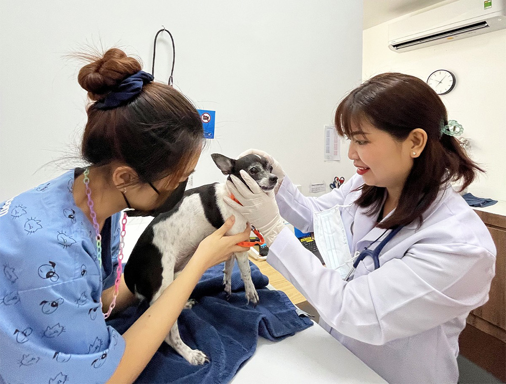 โรงพยาบาลสัตว์ทองหล่อ
