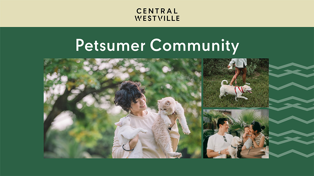 Central_westville_Pet_05