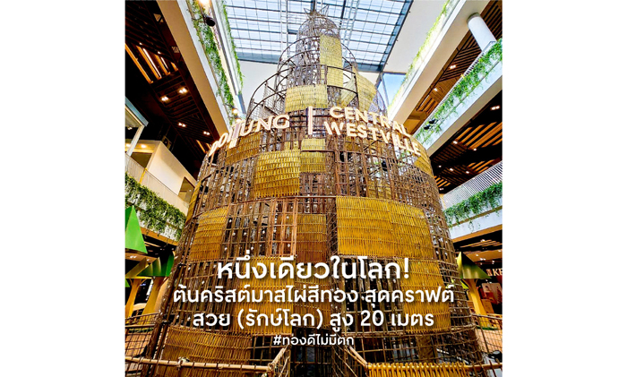 เวสต์วิลล์