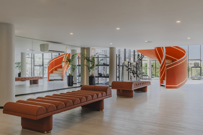 The-Gym
