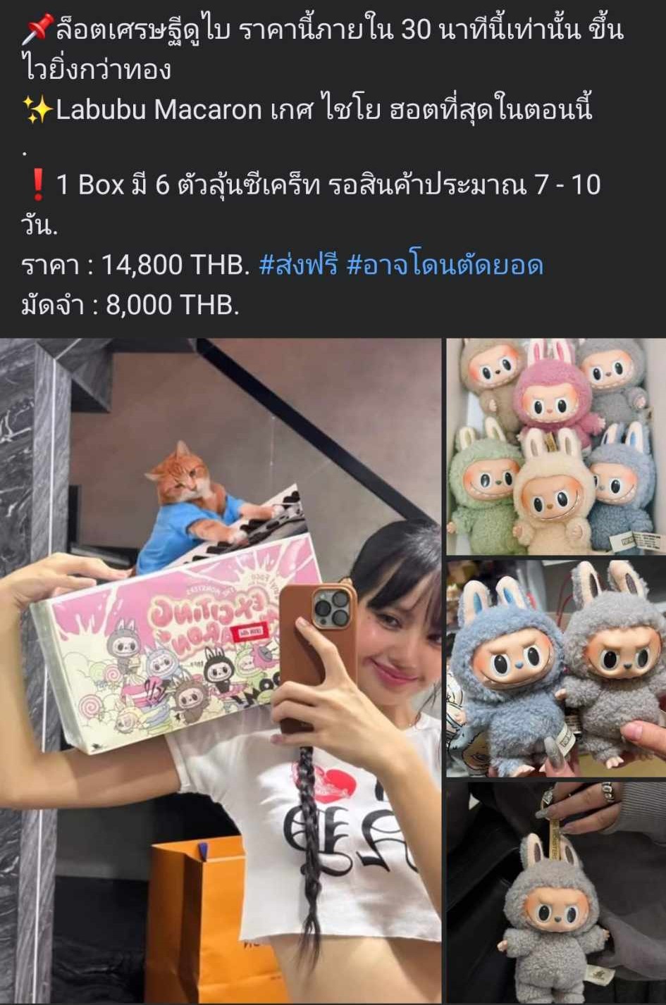 430386142_947225263560730_4866241875527468883_n