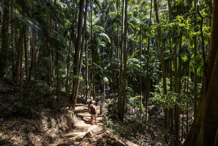 Mt_Tamborine