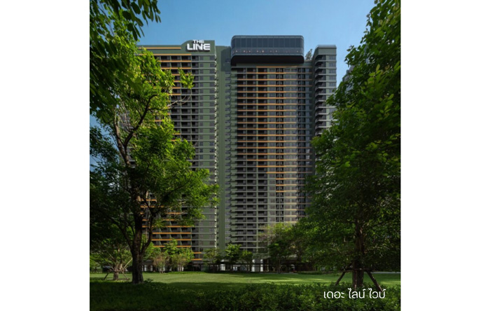 เดอะ-ไลน์-ไวบ์