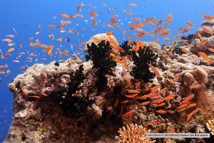 4-9
