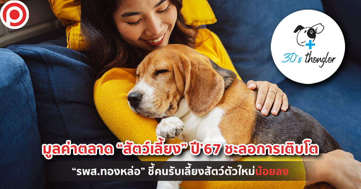 สัตว์เลี้ยง