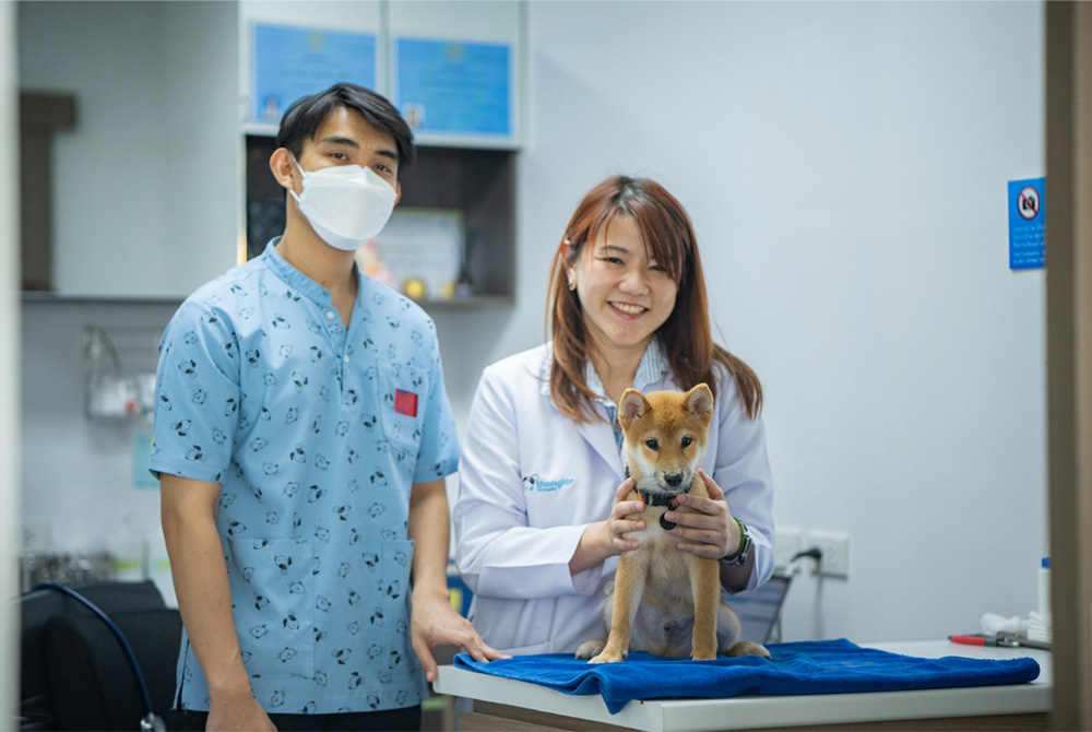 โรงพยาบาลสัตว์ทองหล่อ