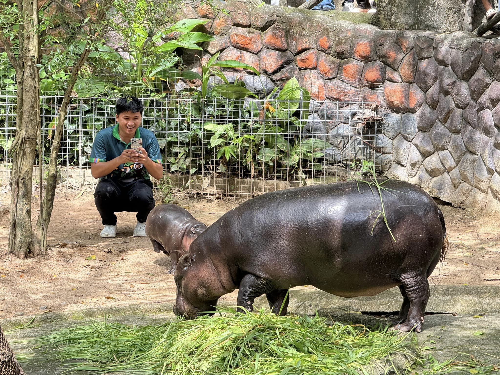 หมูเด้ง-และเบนซ์-