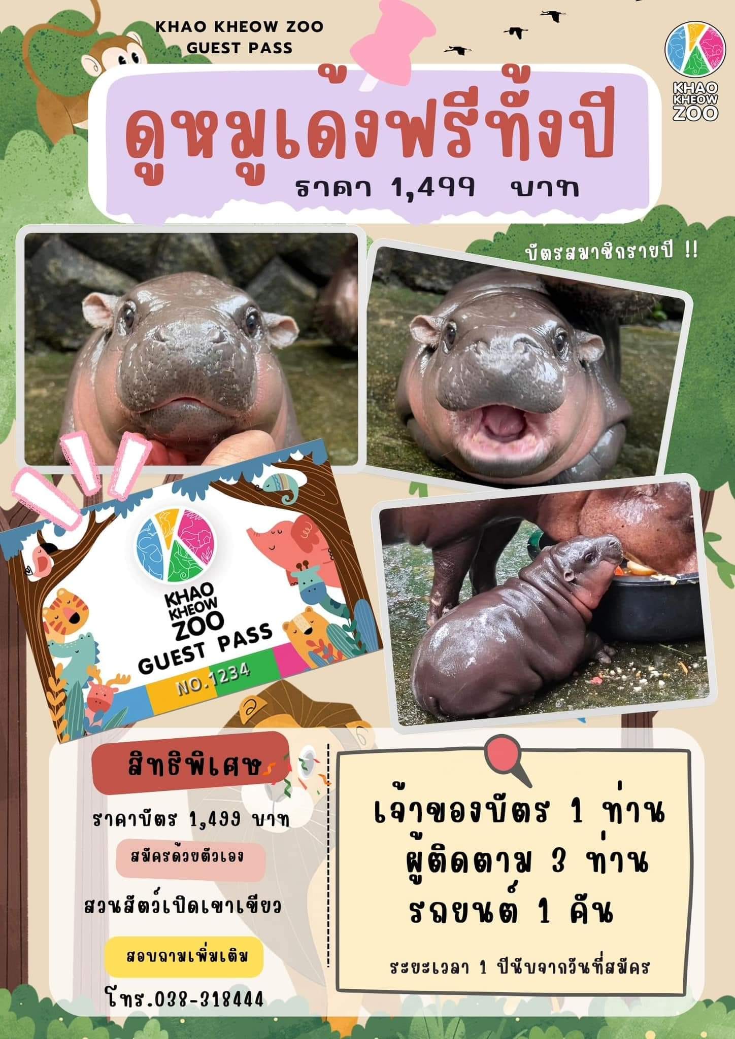 หมูเด้งงงง