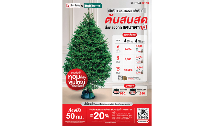 Christmas Tree_A3_D2