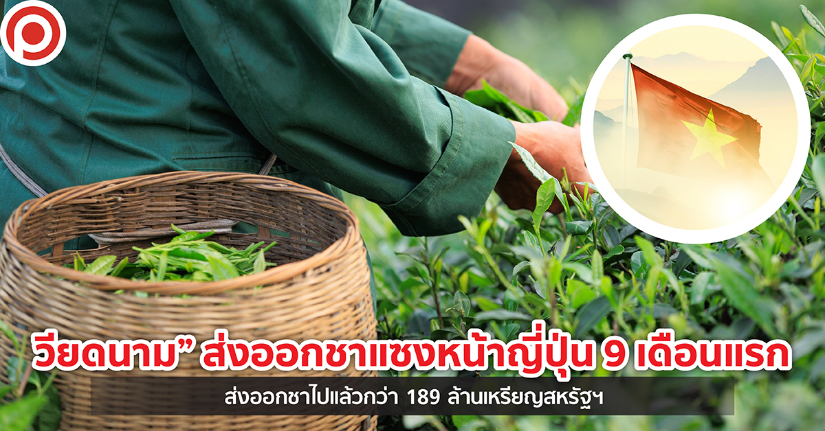 VTTEA