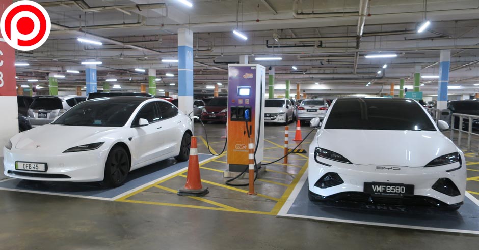 tesla byd
