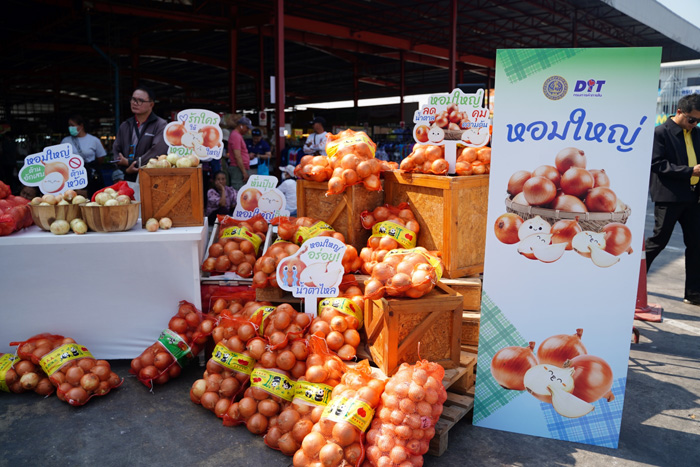 หอมใหญ่