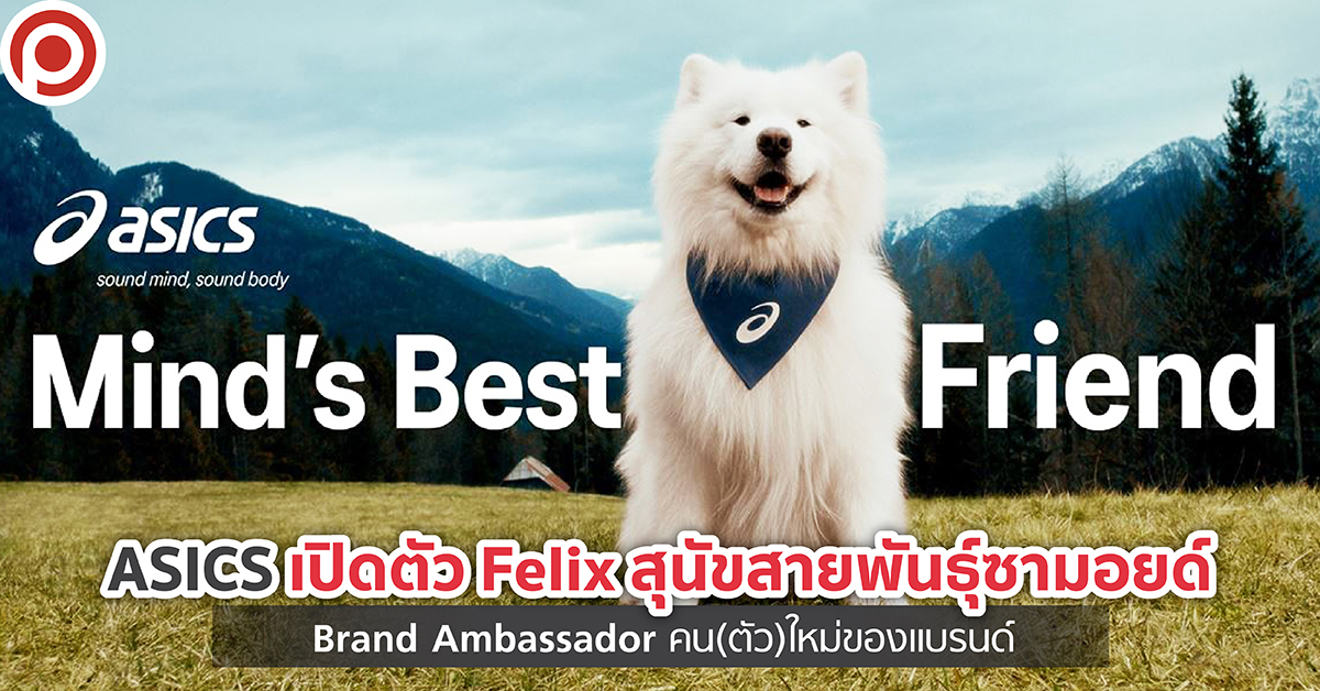 ASICSFELIXweb