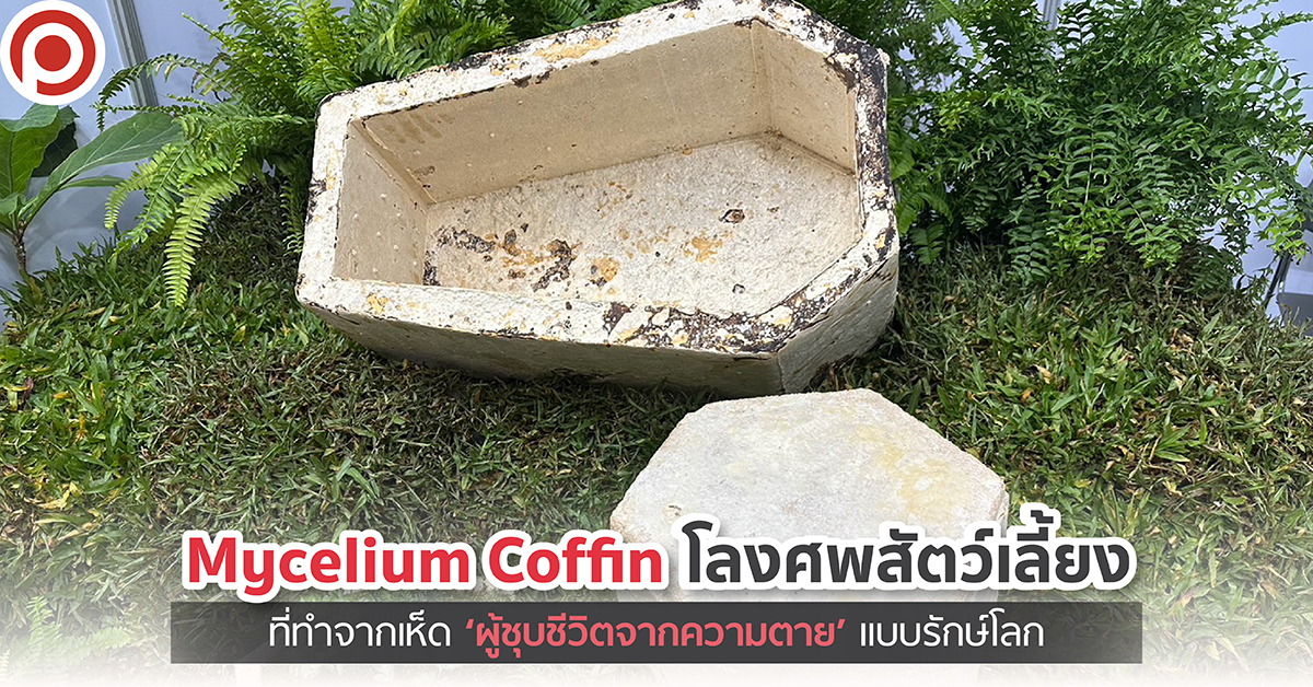 MYCELIUMCONFINweb
