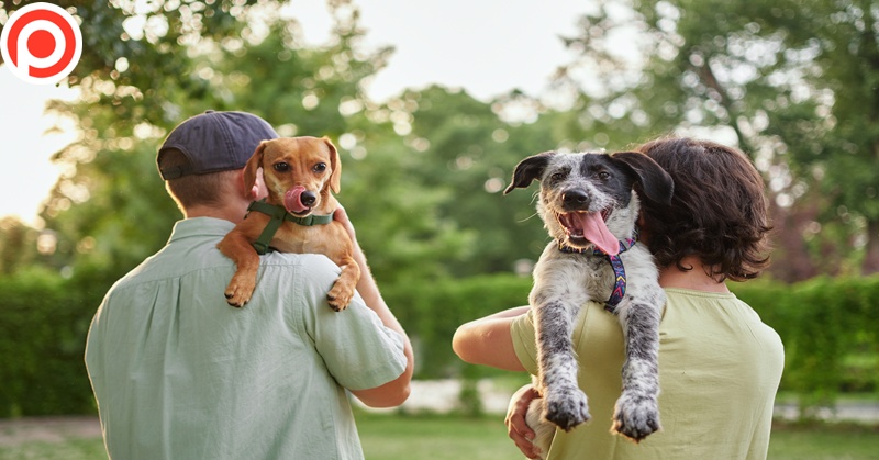 pet parents