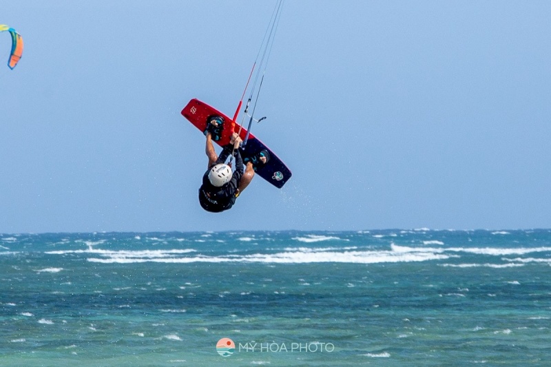 3682636
