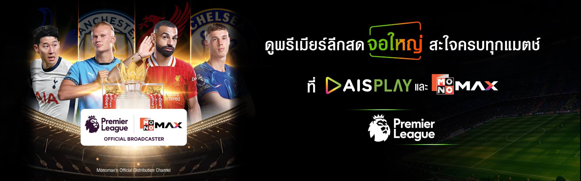 AIS-3BB-FIBRE