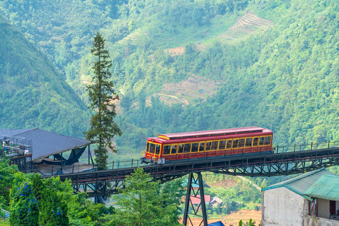 Sapa1