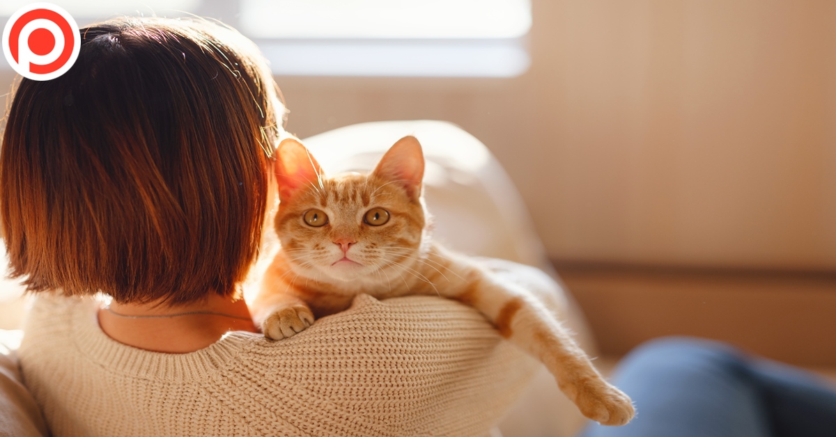 Young,Asian,Woman,Wears,Warm,Sweater,Resting,With,Tabby,Cat