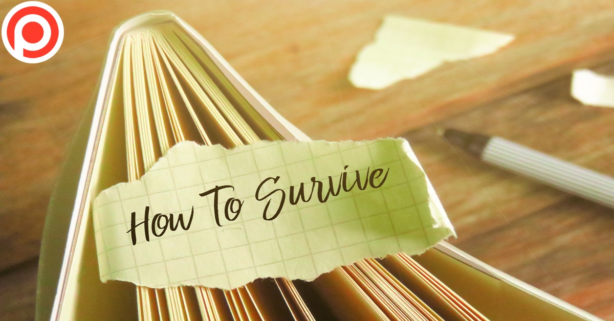 A,Piece,Of,Paper,Written,',How,To,Survive',On