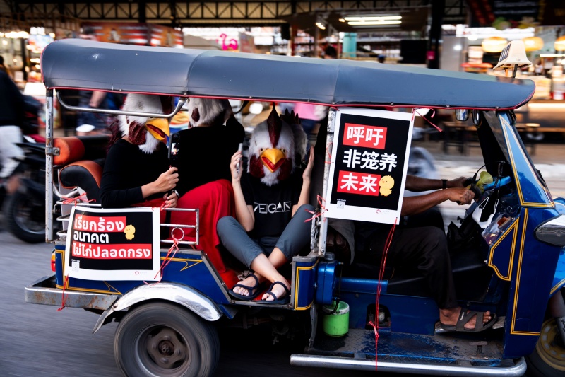 FACT_Tuk-tuk 1_0