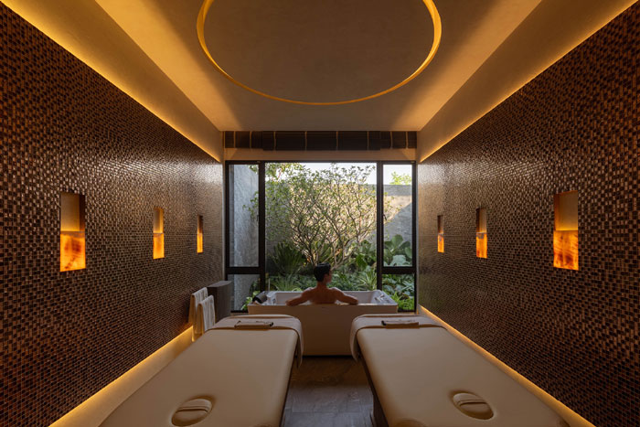 The-Wellness