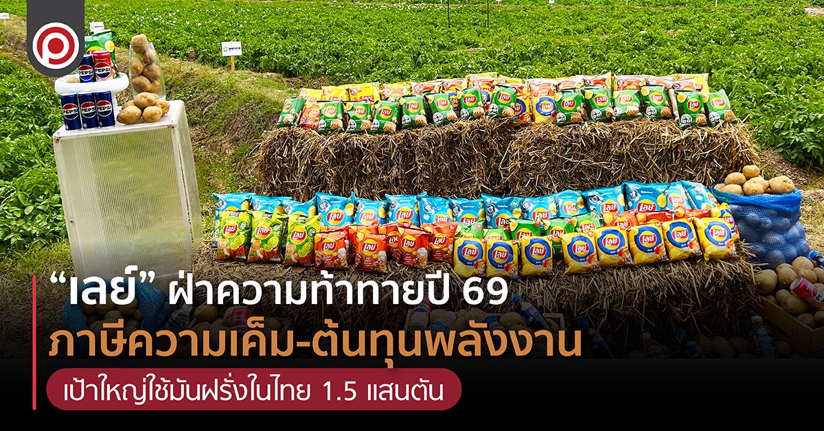 สวนมันฝรั่ง ของเลย์ เป๊ปซี่โค