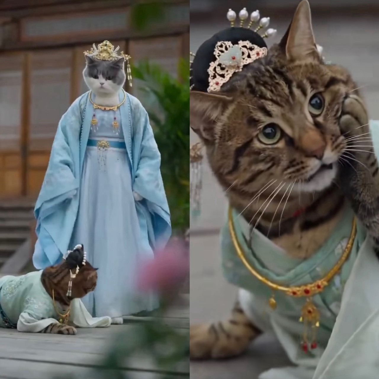 ละครคุณธรรมหมาแมว AI