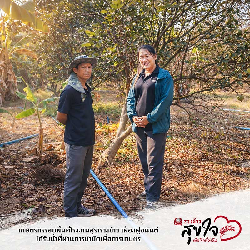 เฟื่ิง
