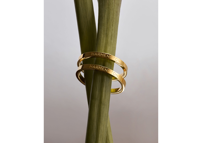 Mantra-Ring2