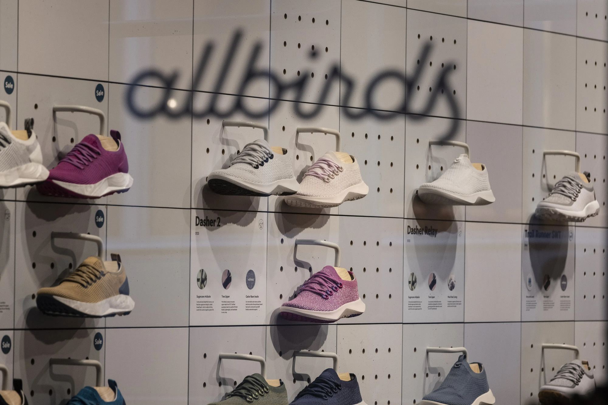 allbirds