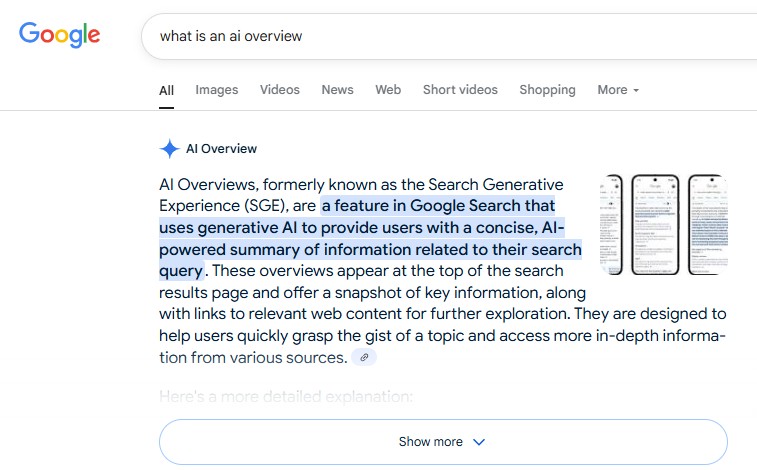 ai-overview-screenshot