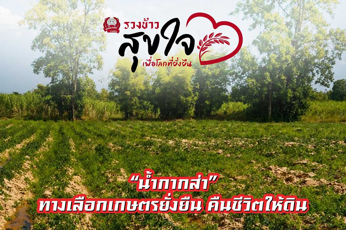 ฑ1