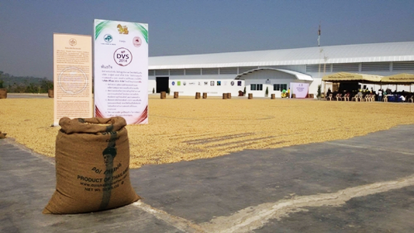 2_singha_coffee