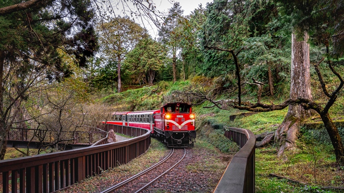 Alishan Forest Railway_Chiayi.jpg