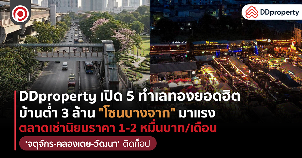 DDPROPERTY1-01.jpg
