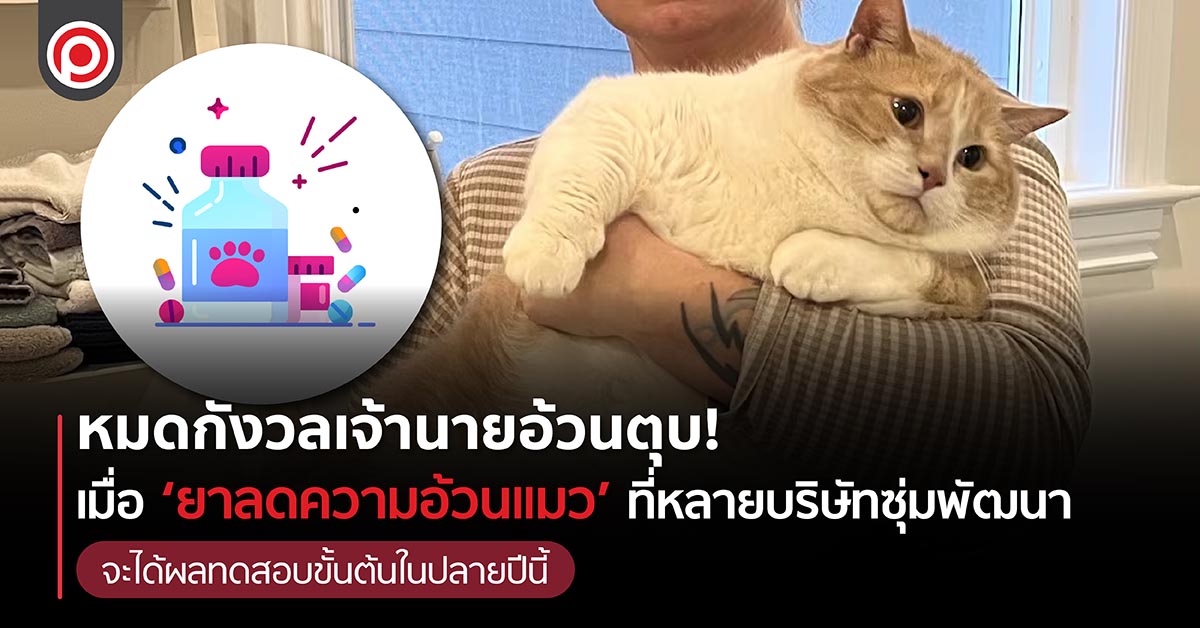 FATCAT-01_0.jpg