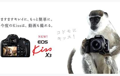 blogmedia-11850.jpg