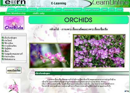 blogmedia-27816.jpg