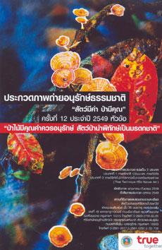 blogmedia-29035.jpg