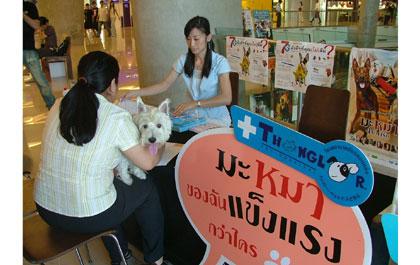 blogmedia-34064.jpg