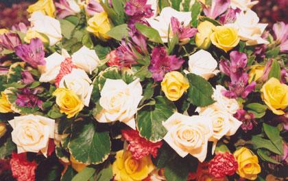 blogmedia-35657.jpg