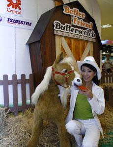 blogmedia-37130.jpg