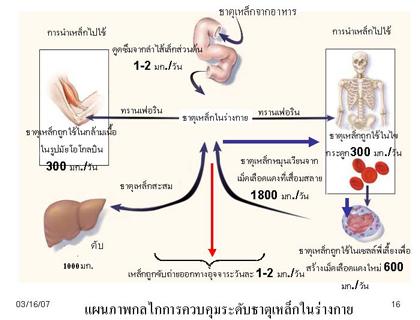 blogmedia-40409.jpg