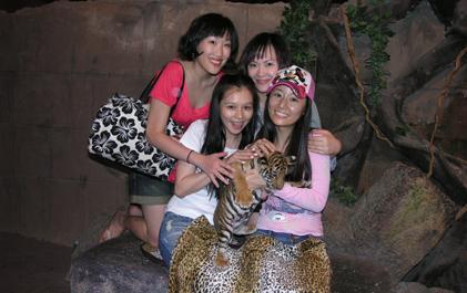 blogmedia-40523.jpg
