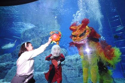 blogmedia-53961.JPG
