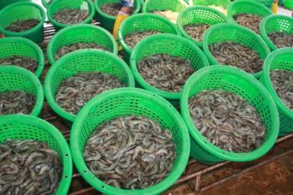 blogmedia-54896.JPG