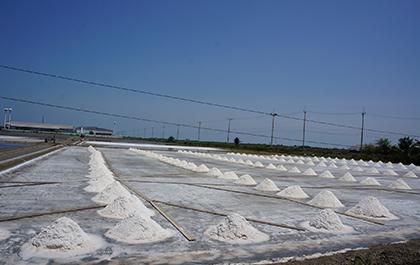 blogmedia-56476.jpg