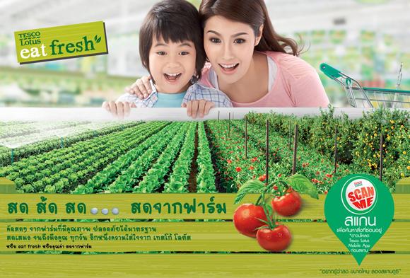 blogmedia-57380.jpg