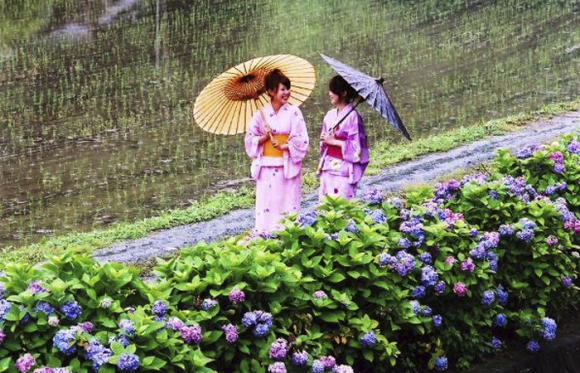 blogmedia-60371.png